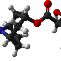 3d Model of Molecules Vector Clipart