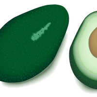 Avocado Vector Clipart