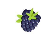 Blackberry vector clipart