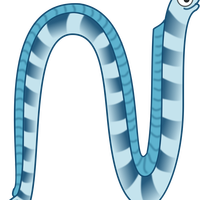 Blue Eel vector clipart