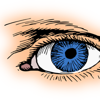 Blue Eye Vector Clipart