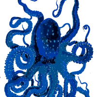Blue Octopus Vector Clipart