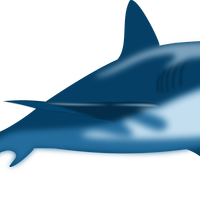 Blue Shark Vector Art