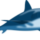 Blue Shark Vector Art