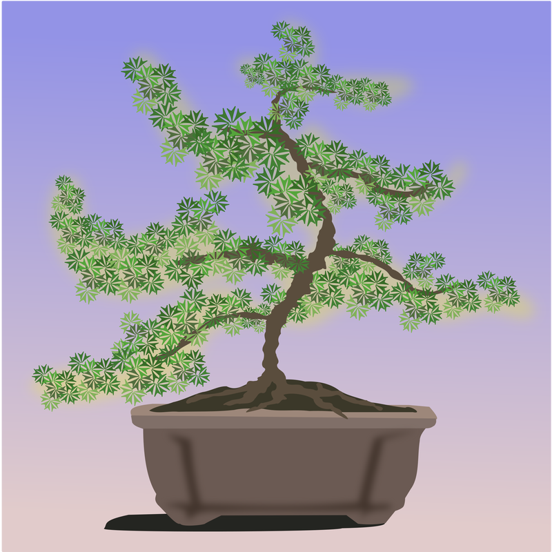 Bonsai Tree Vector Clipart image - Free stock photo - Public Domain