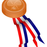 Bronze Medallion Vector Graphic