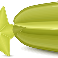 Carambola and Star Fruit Vector Clipart