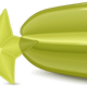 Carambola and Star Fruit Vector Clipart