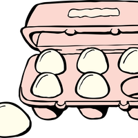 Carton of Eggs vector clipart