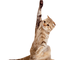 Cat raising hand vector clipart