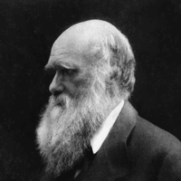 Charles Darwin Portrait vector file