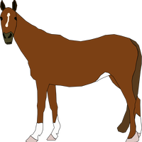 Chestnut Horse vector clipart