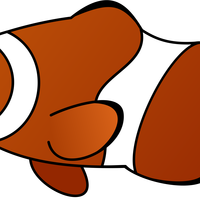 Clownfish Cartoon vector clipart