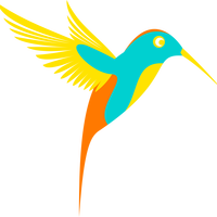 Colibri Colorful Bird vector clipart