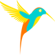 Colibri Colorful Bird vector clipart