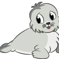 Cute Baby Seal Drawing vector clipart