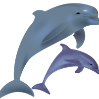Dolphins Vector Clipart