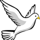 Dove Vector Clipart