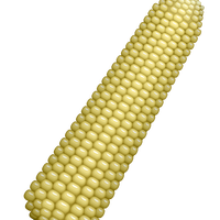 Ear of Corn Vector Clipart