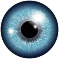 Eyeball Vector Art