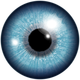 Eyeball Vector Art