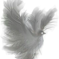 Fantasy Dove Vector Clipart