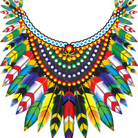 Feathered Coat of Many Colors Vector Graphic