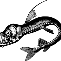 Fish Sea Monster Vector Clipart