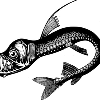 Fish Sea Monster Vector Clipart