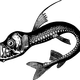 Fish Sea Monster Vector Clipart