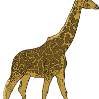 Giraffe Vector Art