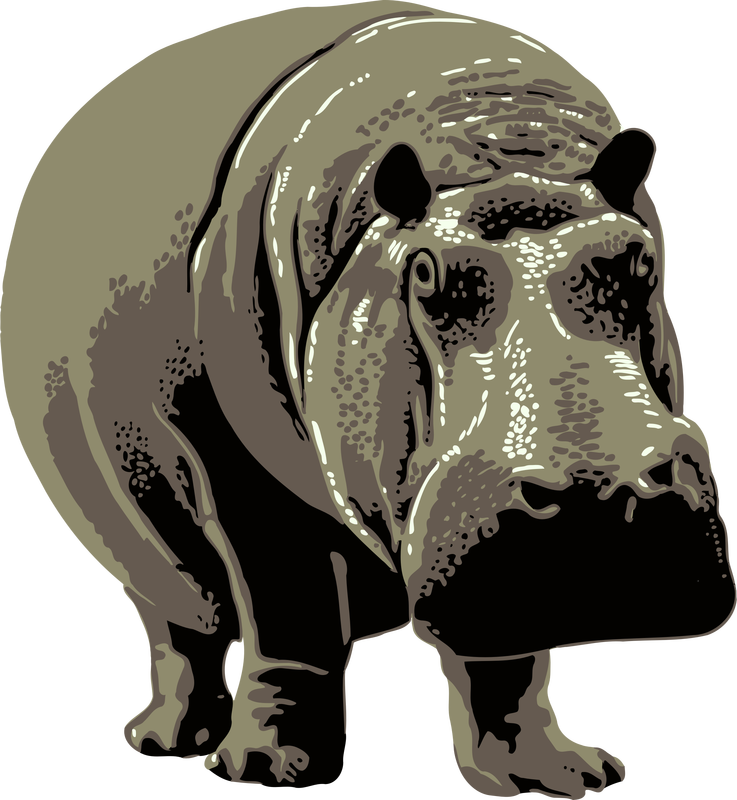 Download Gray standing Hippopotamus Vector Clipart image - Free stock photo - Public Domain photo - CC0 ...