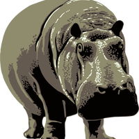 Gray standing Hippopotamus Vector Clipart