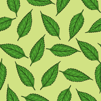 Green Leaves Pattern vector clipart