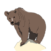 Grizzly Bear standing on rock vector clipart