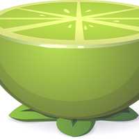 Half of a Green lime Vector clipart