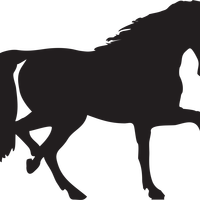 Horse silhouette vector clipart