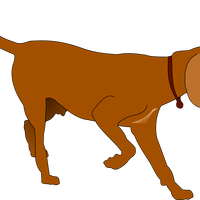 Hunting Dog Vector Clipart