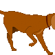 Hunting Dog Vector Clipart image - Free stock photo - Public Domain ...