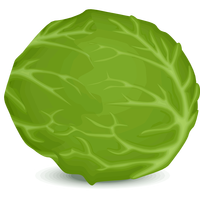 Iceberg Lettuce Vector Clipart