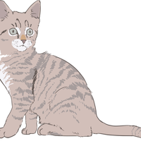 Kitten Vector Clipart