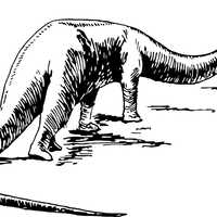 Large Sauropod Dinosaur vector clipart