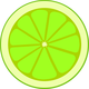 Lime Cross Section Vector Clipart