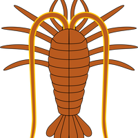 Lobster Vector Clipart