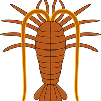 Lobster Vector Clipart