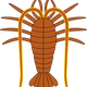 Lobster Vector Clipart