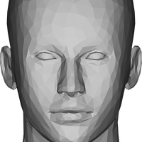 Low Polygon Count Female Head