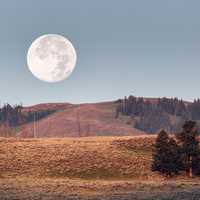 Moonrise over the Lamar Valley Landscape 