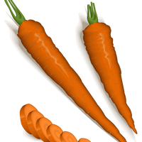 Orange Carrots Vector Clipart