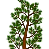 Pine Branch Vector Clipart